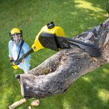 Best Hazardous Tree Removal  in Macopin, NJ