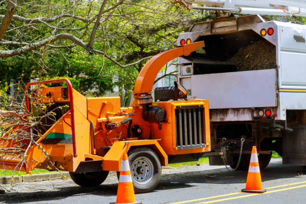 Best Arborist Consultation Services  in Macopin, NJ